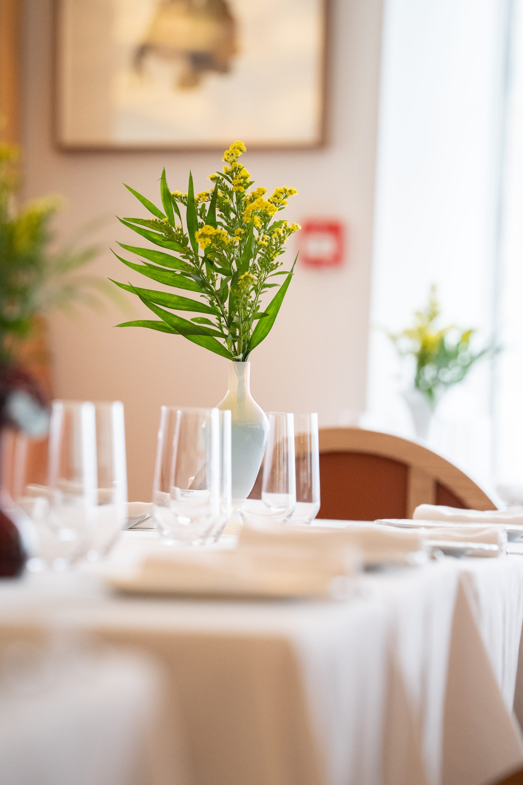 aerial studio® romain daynac 44