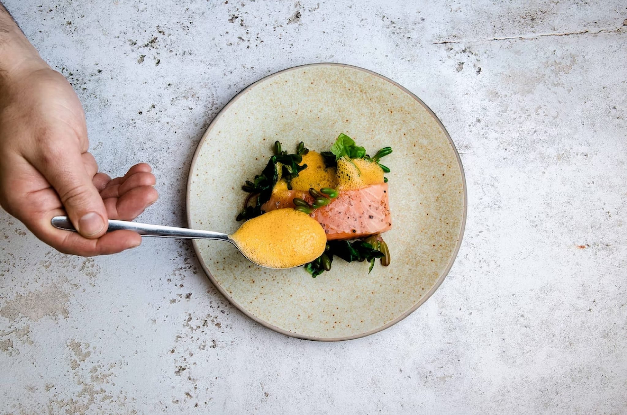 Assiette gourmande de saumon et légumes verts, Hôtel de charme dans le Lot, Maison Borrèze